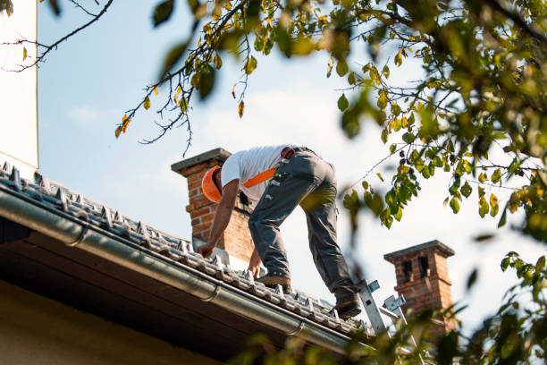 Best Roof Insulation Installation  in Beach Park, IL
