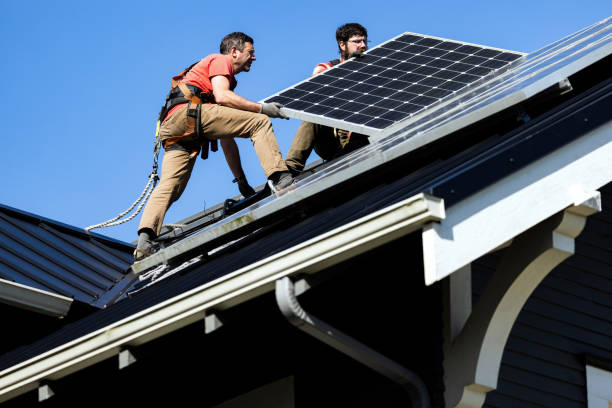 Best Roof Maintenance and Cleaning  in Beach Park, IL